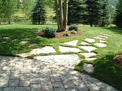Edged around tree, Mulched area, planted all Shrubs & Stone walkway installed for client. (Delmar NY)