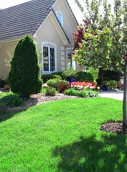 Stone put down, Shrubs & Perennials added to boost clients curb appeal. (Clifton Park NY)